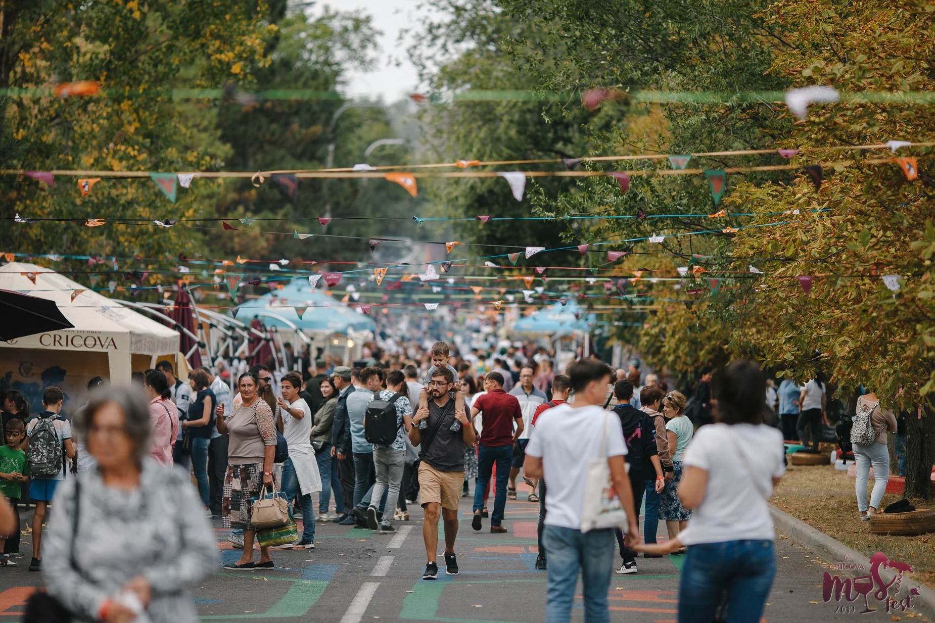 Cricova Must Fest 2026 3