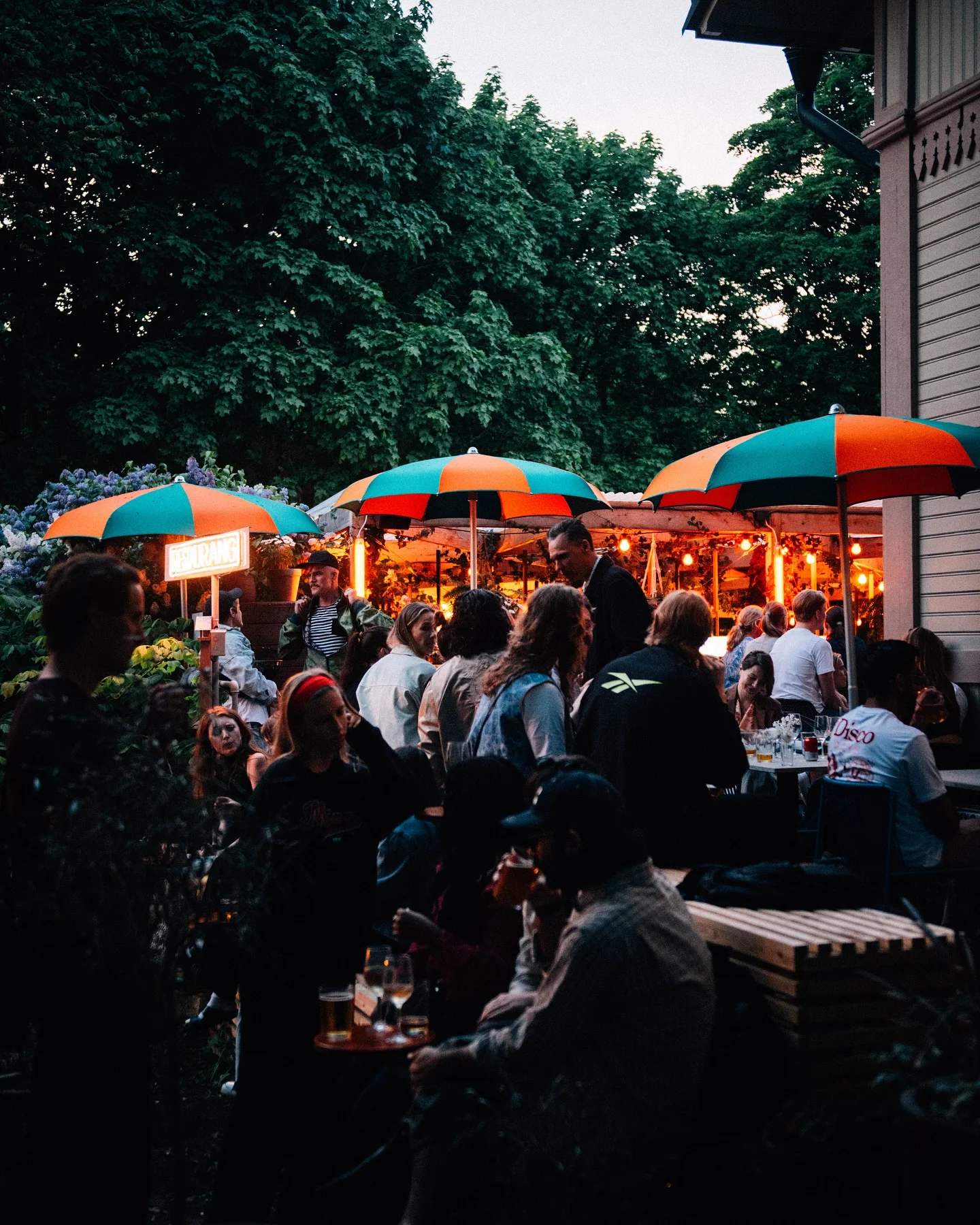 Zenit Festival 2026 3