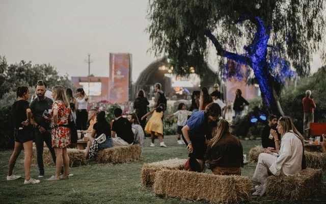 Vida Festival 2026 3