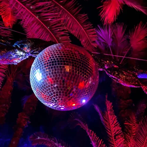 Circle of Life 2026 2