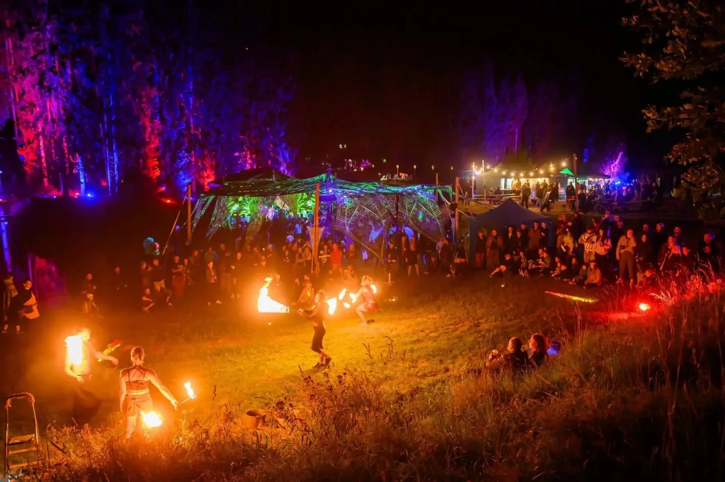 Digital Forest Festival 2026