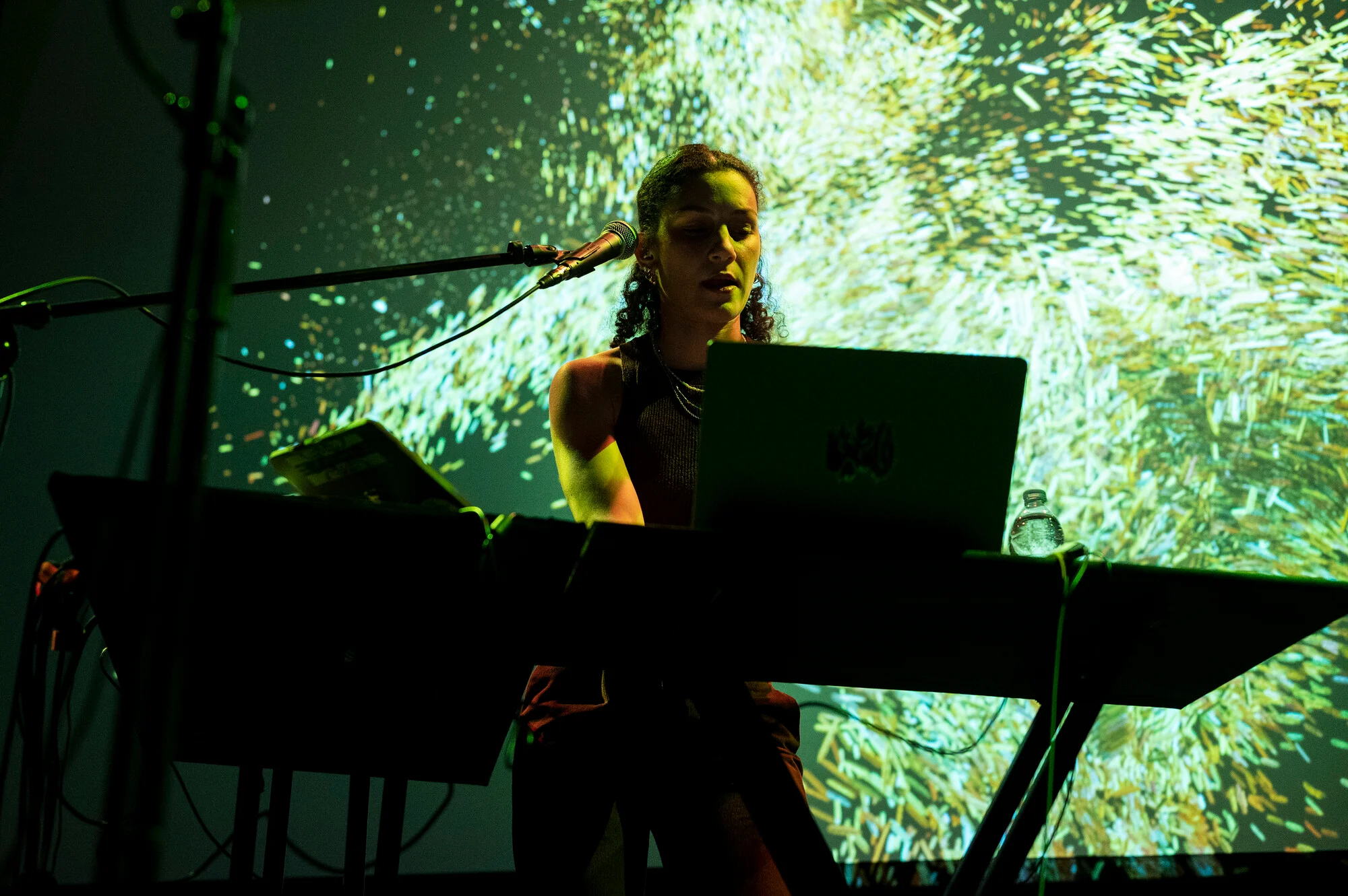 Sonica Festival 2026 3