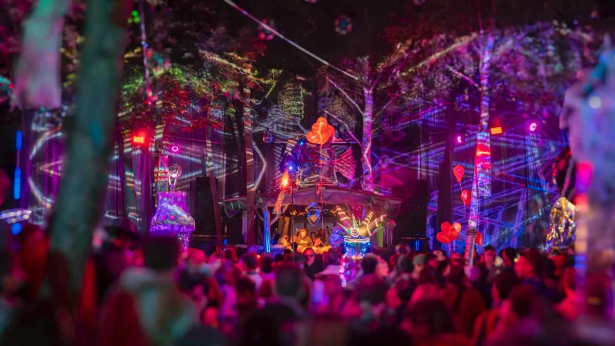 Wilde Mohre Festival 2026