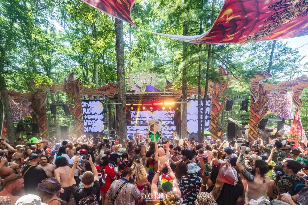 Big Dub Festival 2026 3