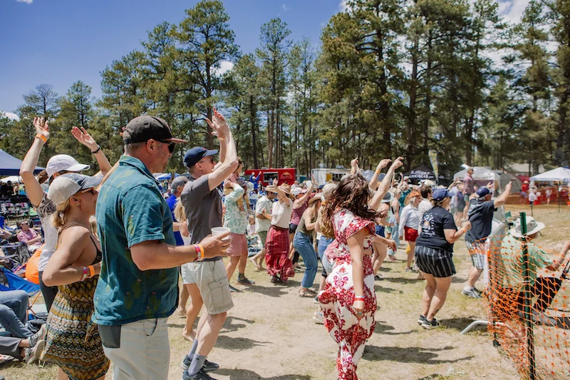 MeadowGrass Music Festival 2026 3