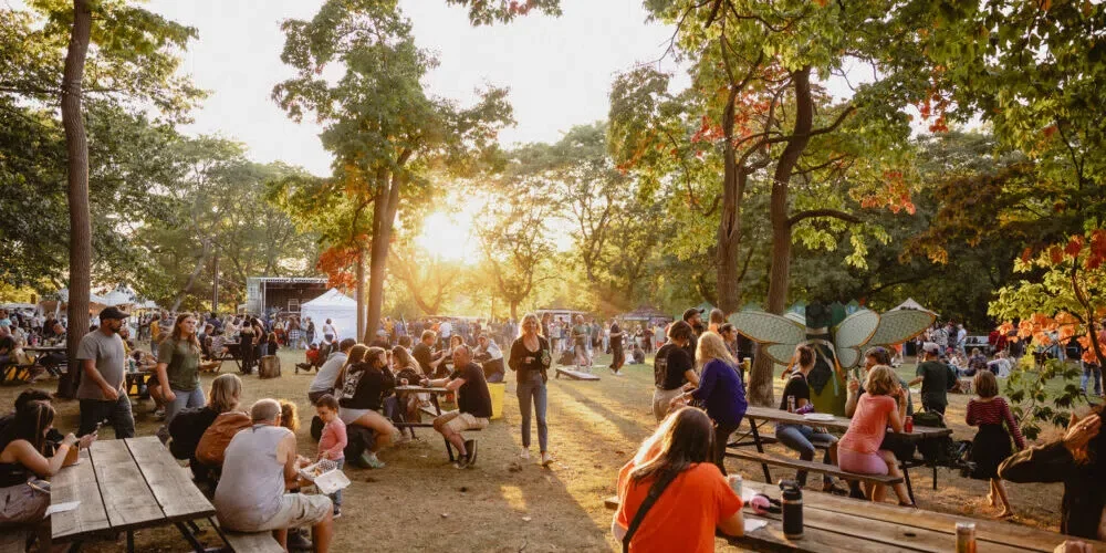 Cicada Festival 2026 3