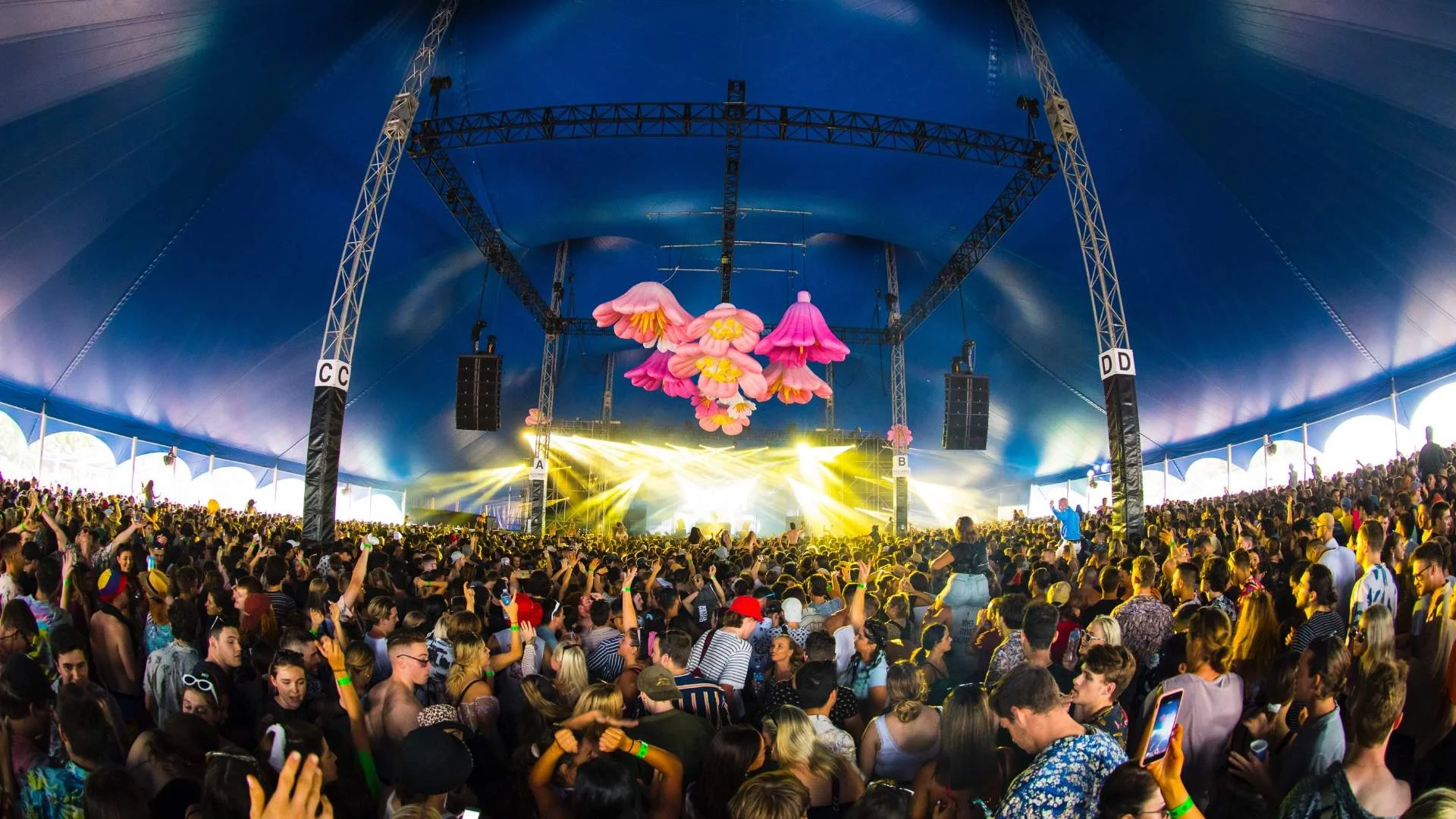 Field Day Sydney 2026 2