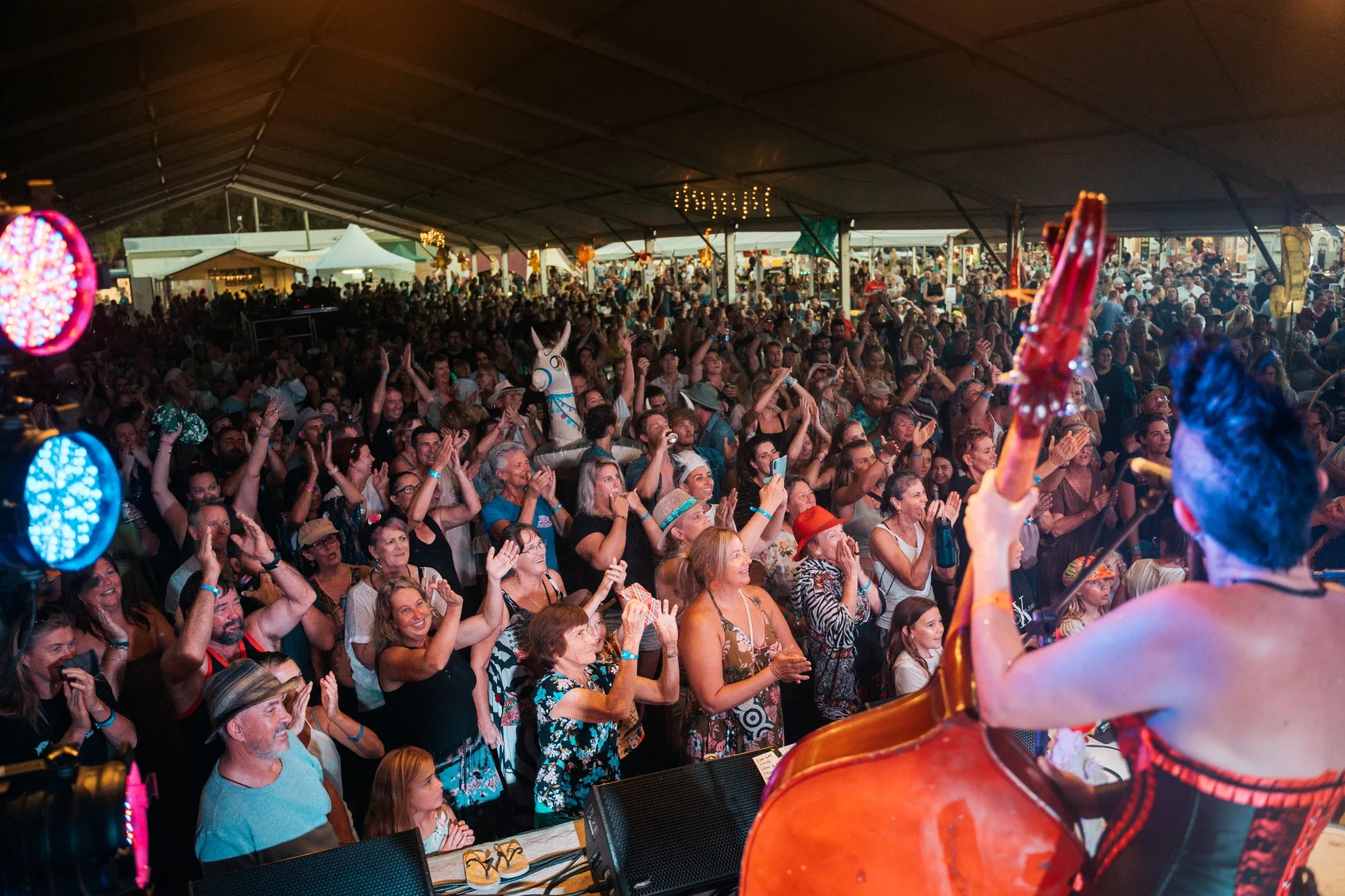 Agnes Blues, Roots & Rock Festival 2026