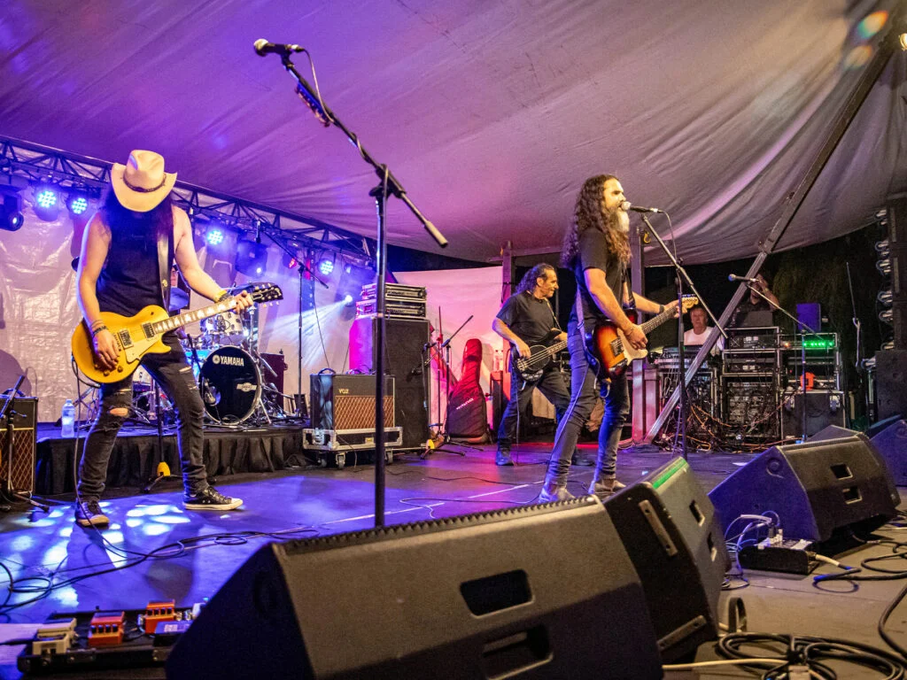 Ravo Blues & Roots Festival 2026 3