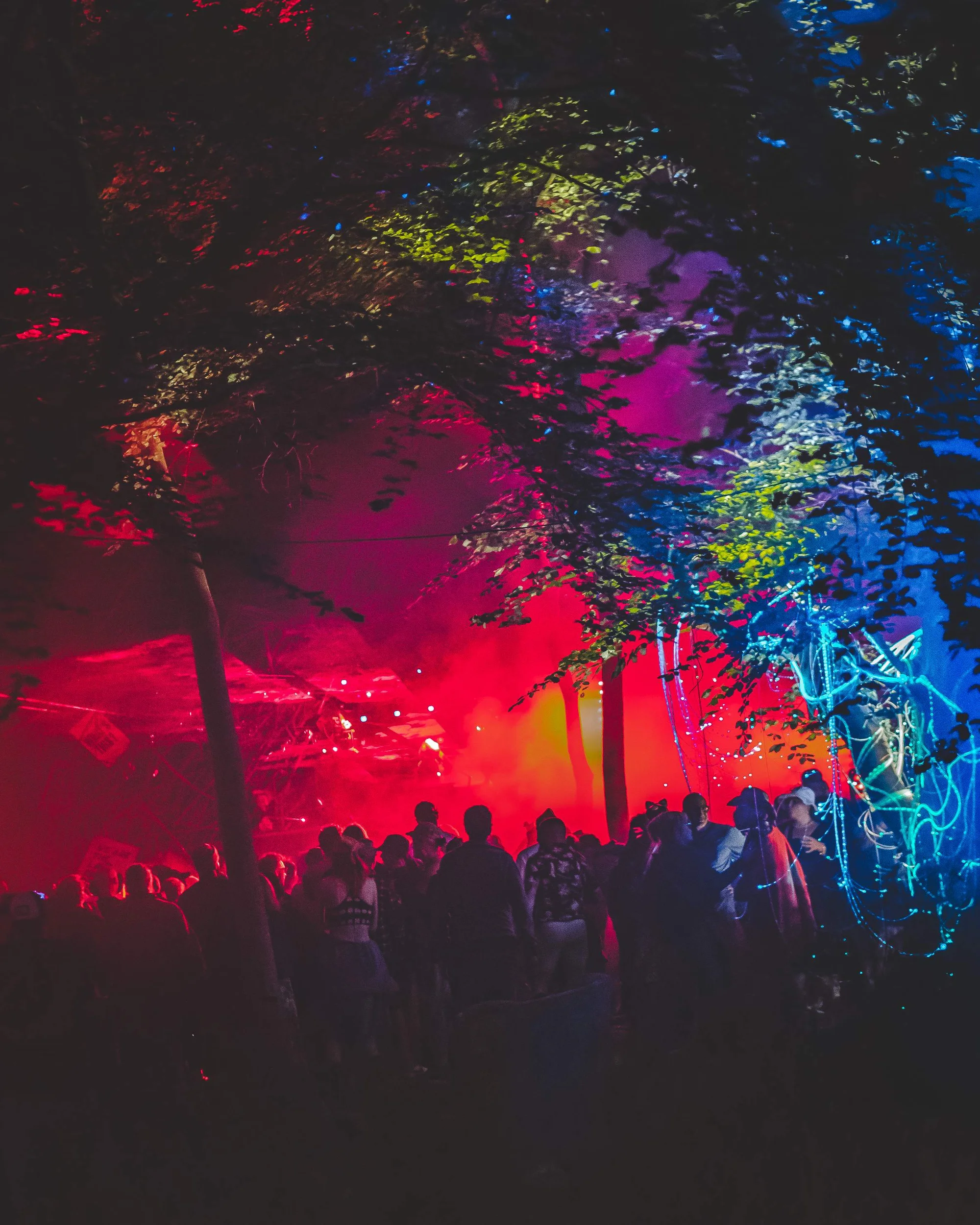 Wild Wood Festival 2026 2