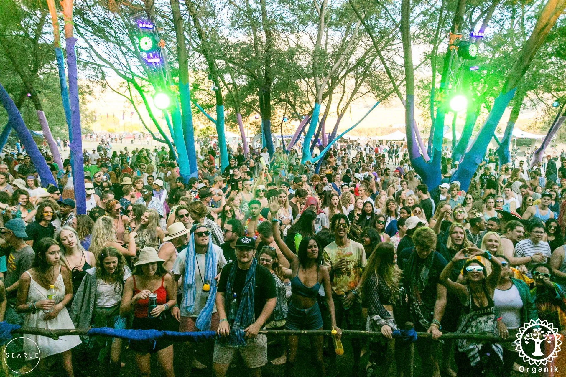 Organik Love Project 2026 3