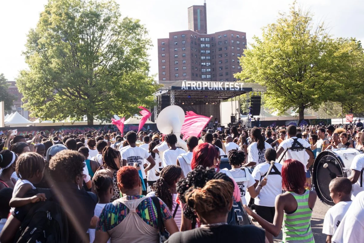 Afropunk Festival 2026 2