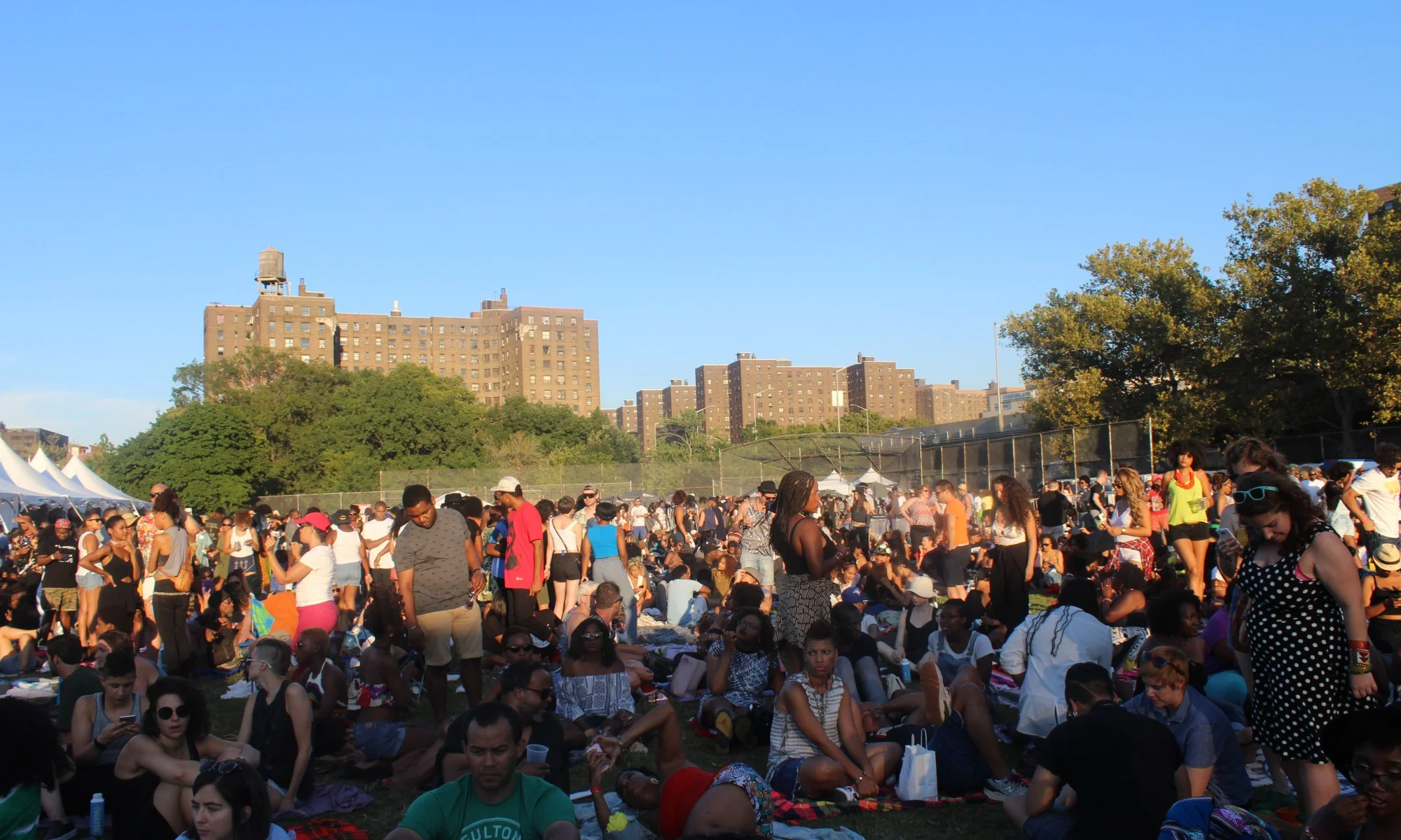 Afropunk Festival 2026 3