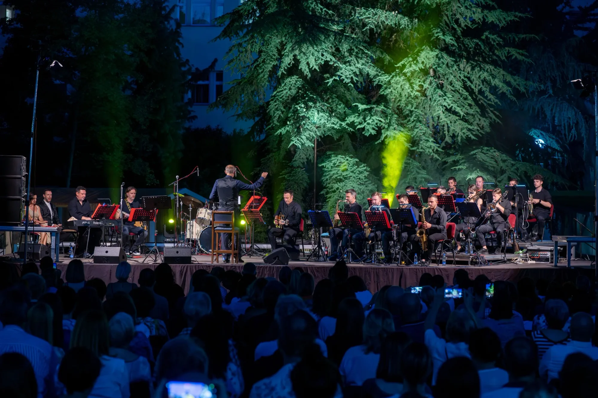 Festival of Street Musicians 2026