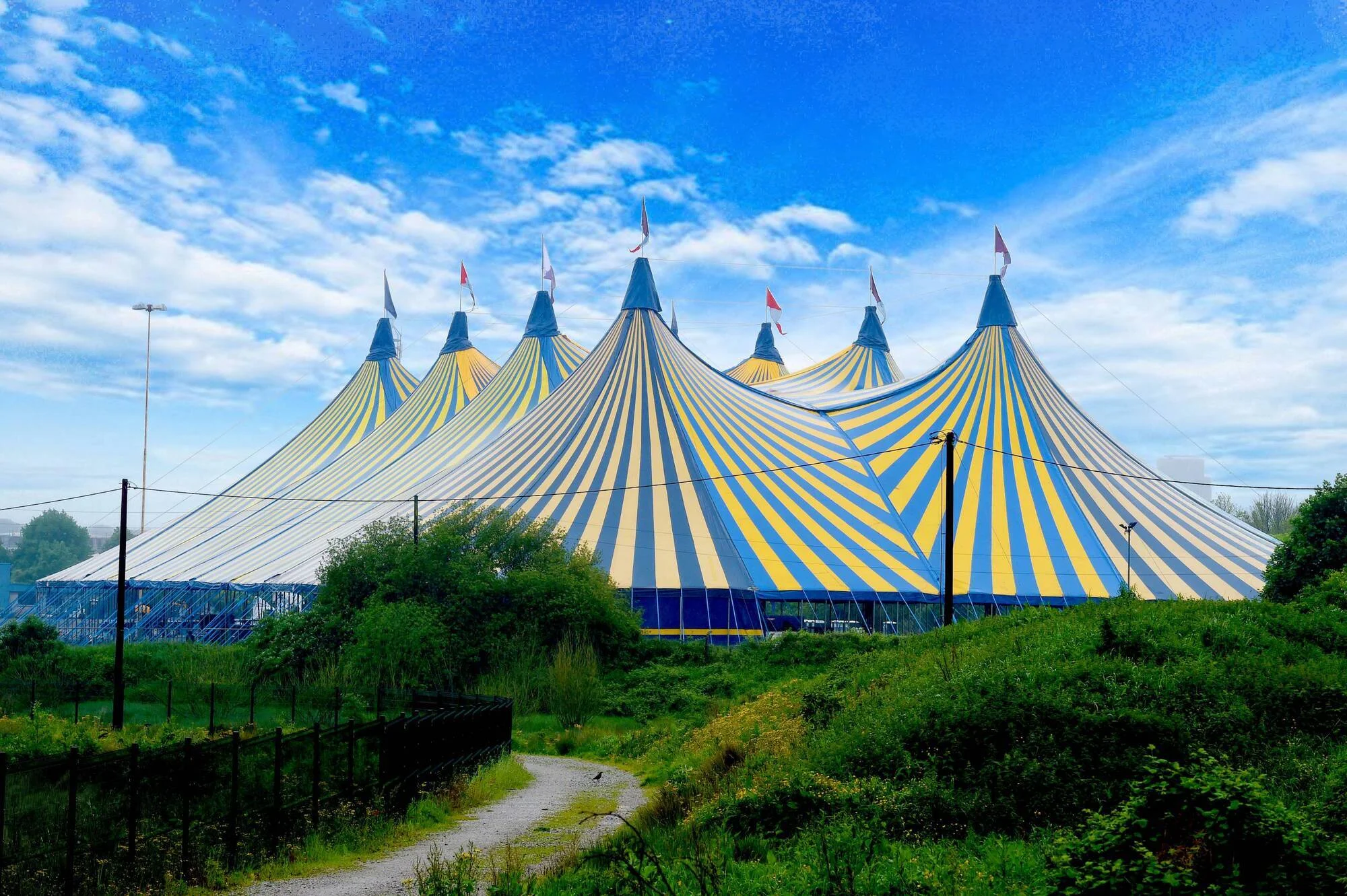 Live at the Marquee 2