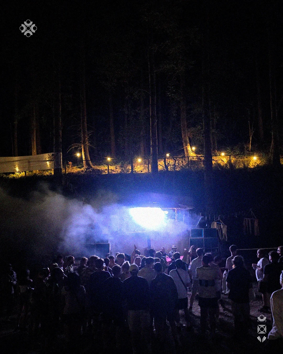 Funk in the Forest