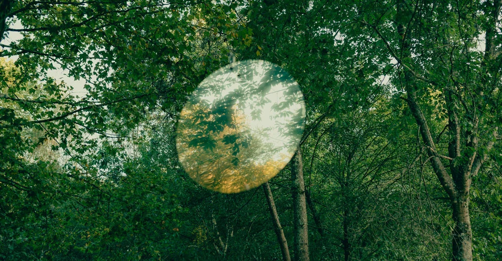 Basilar Festival 2026