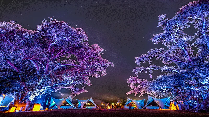 Montenegro Festivals