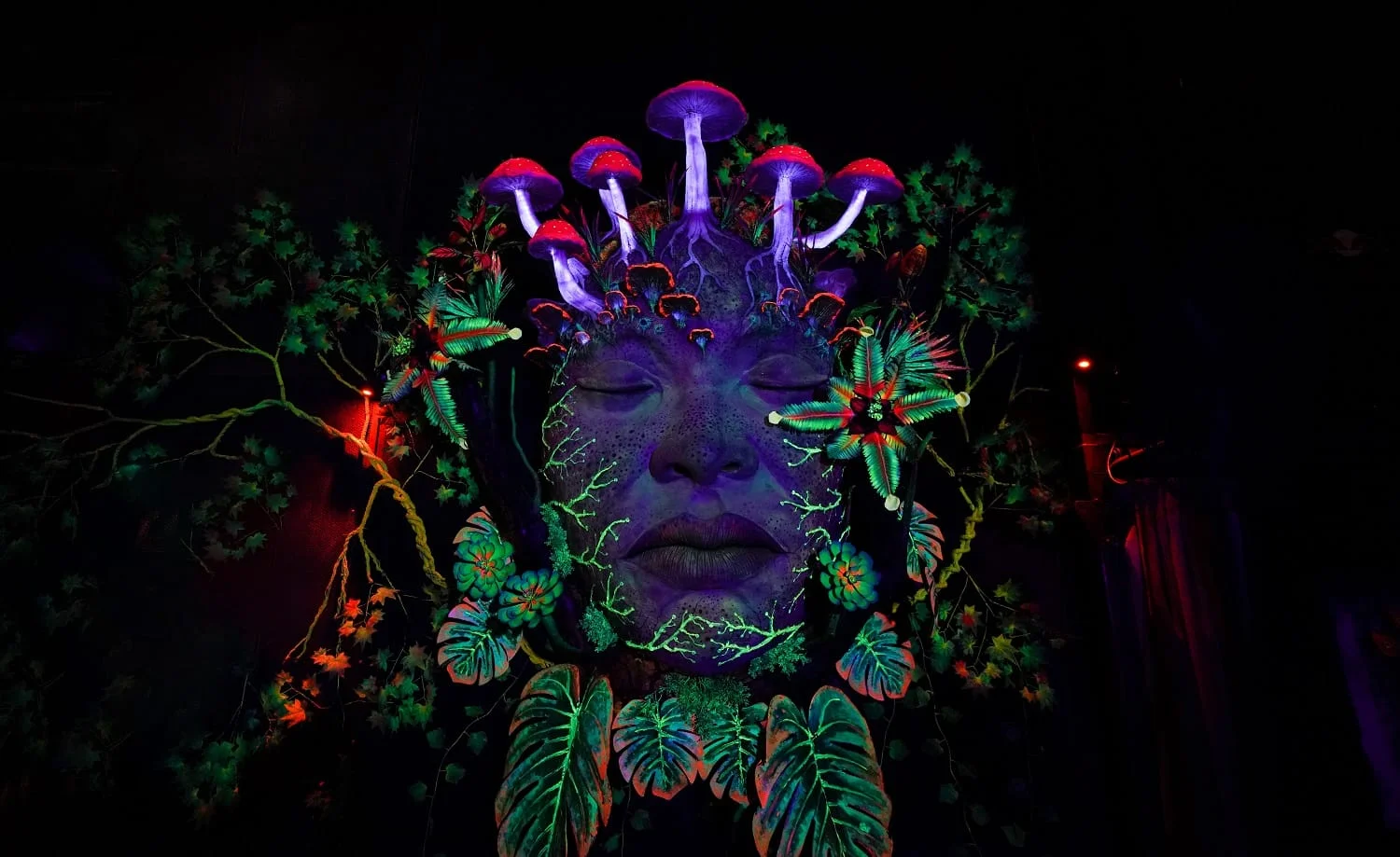 Phonix Festival 2026 2