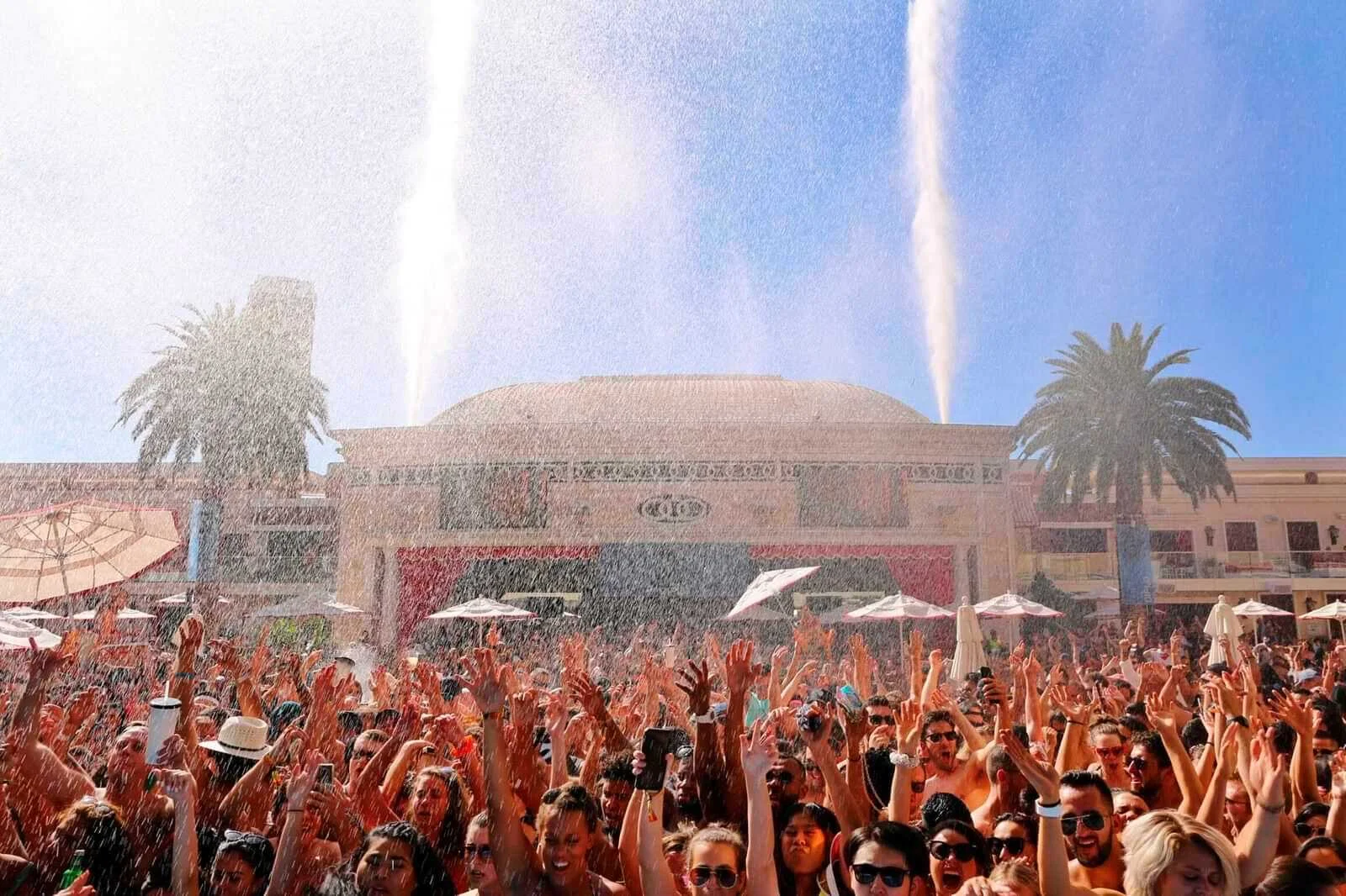 Art of the Wild 2026