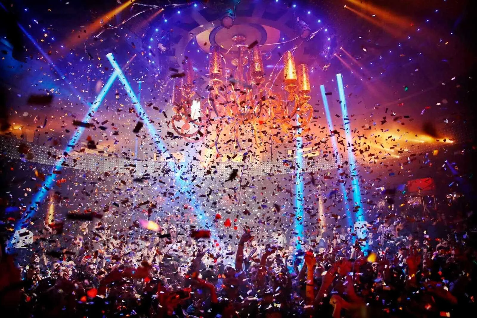 Art of the Wild 2026 3