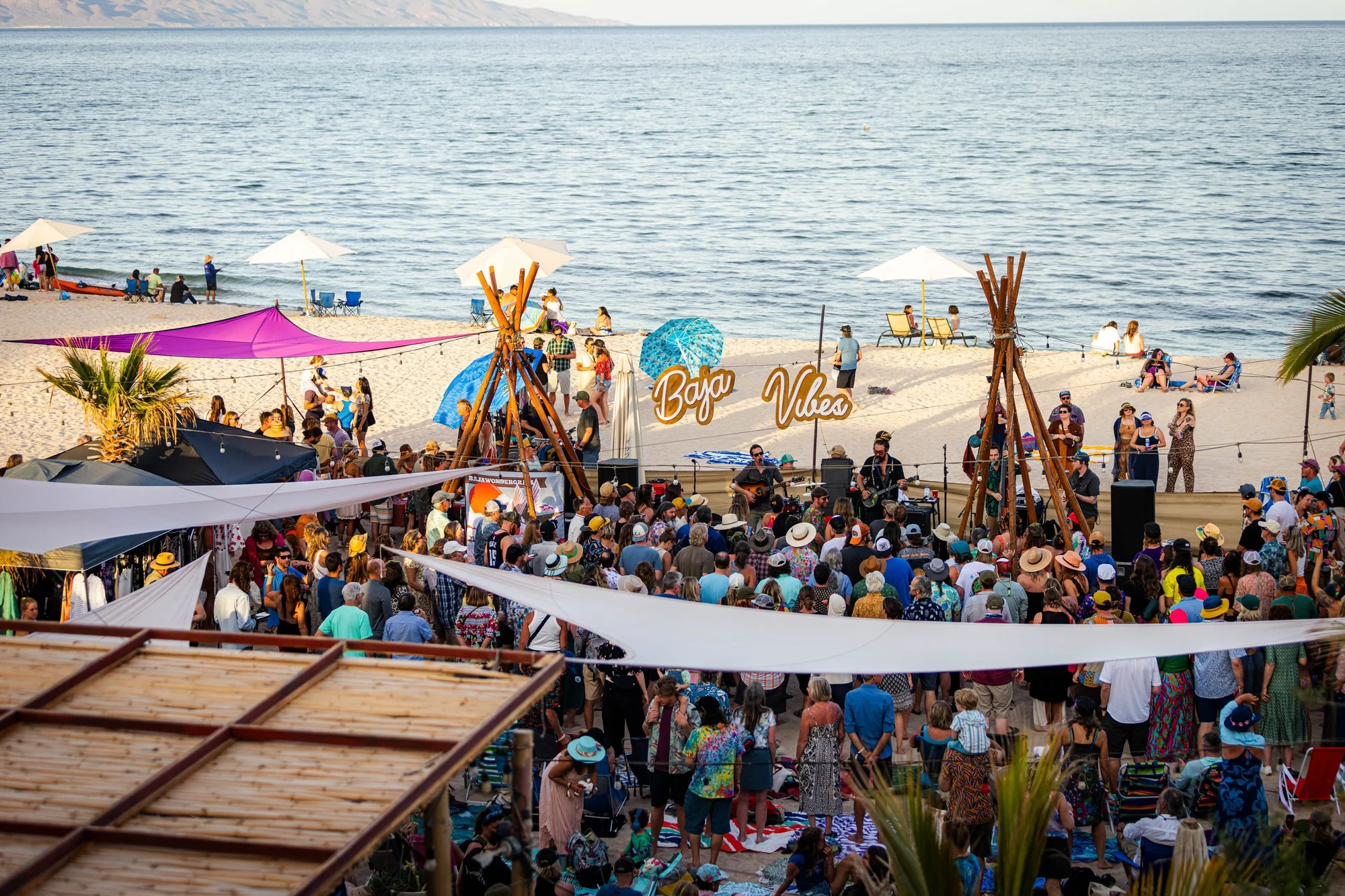 BajaWonderGrass 2026 3