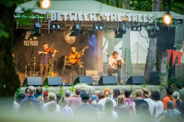 Between the Trees 2026