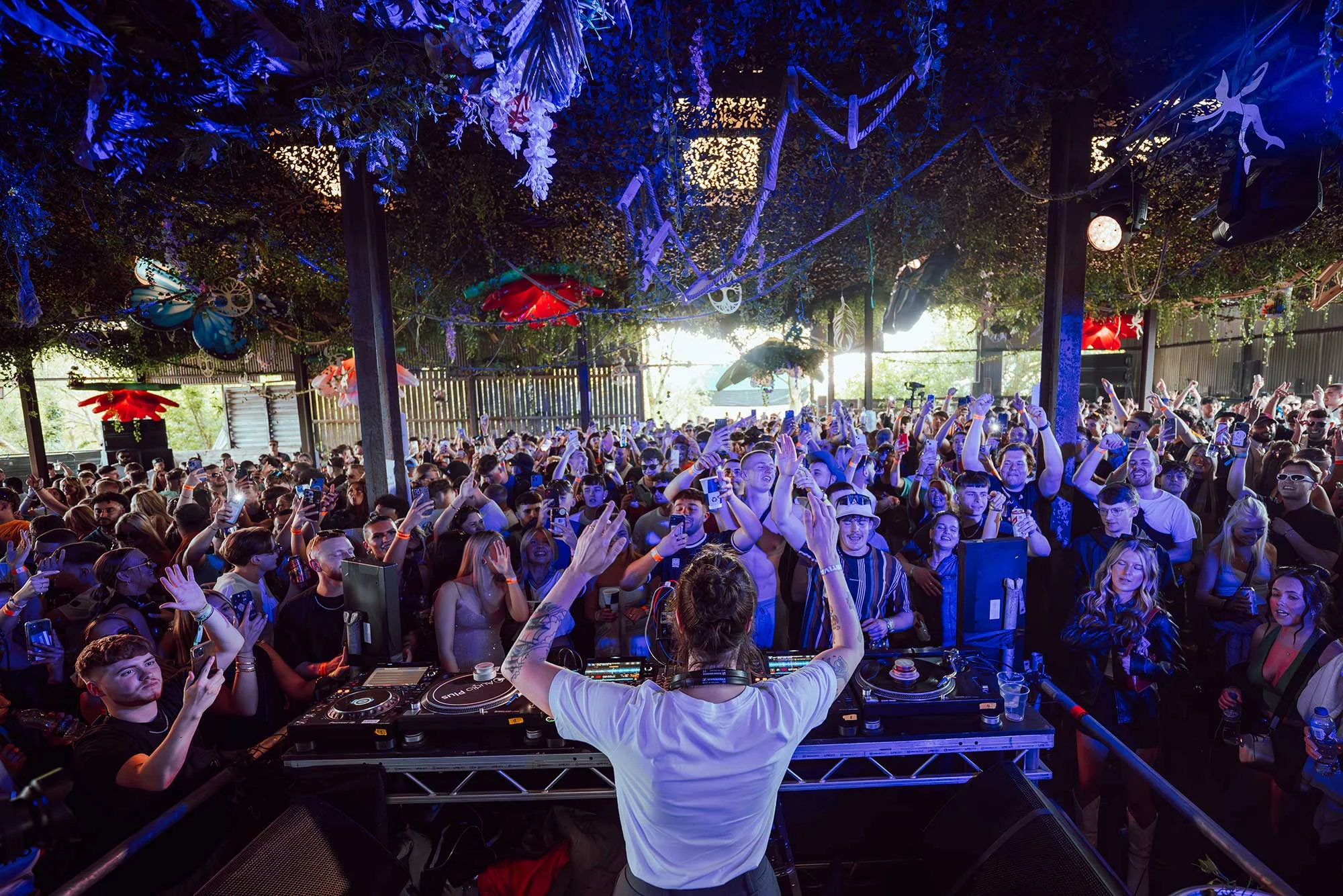 Mint Festival 2026 3