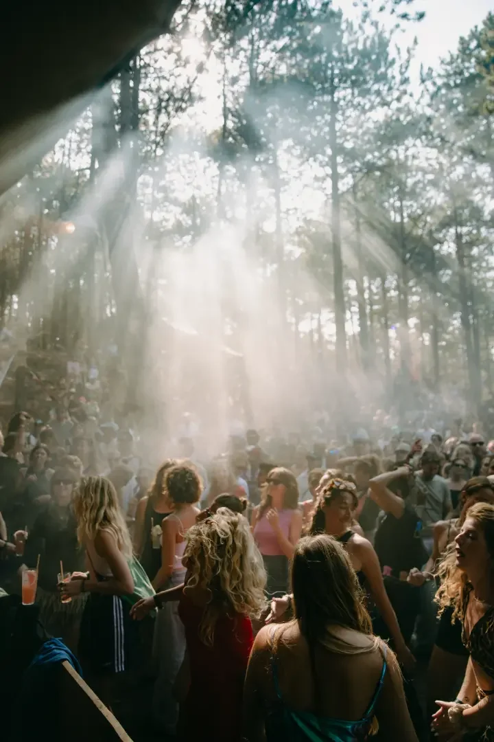 Into the Great Wide Open 2026 2