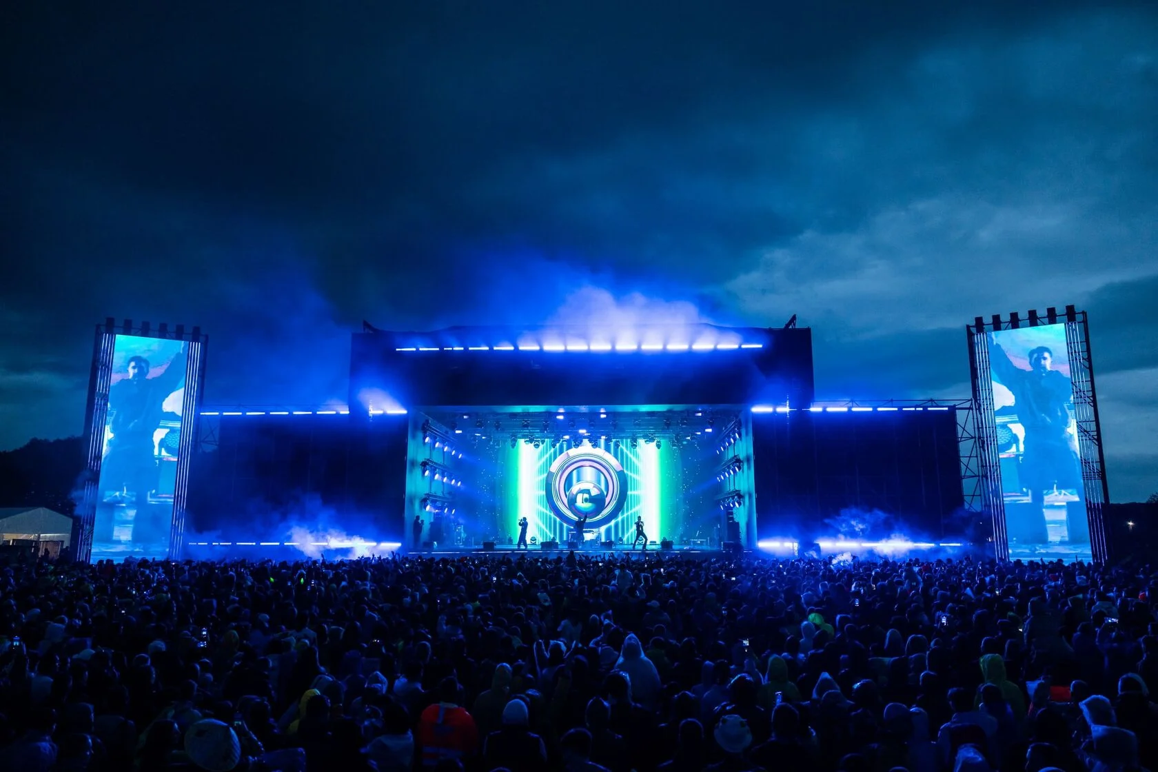 Wild Mint (Dikaya Myata) 2026 2