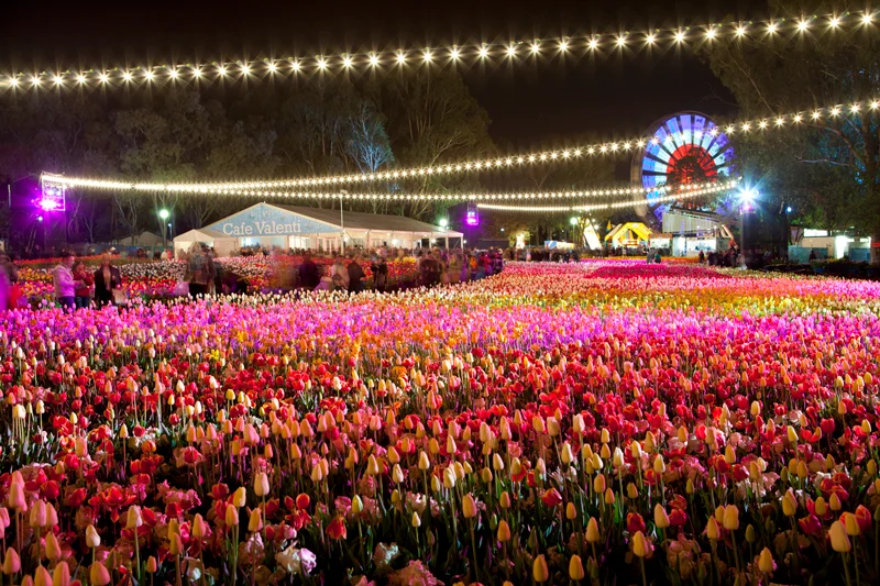 Floriade Night Fest 2026