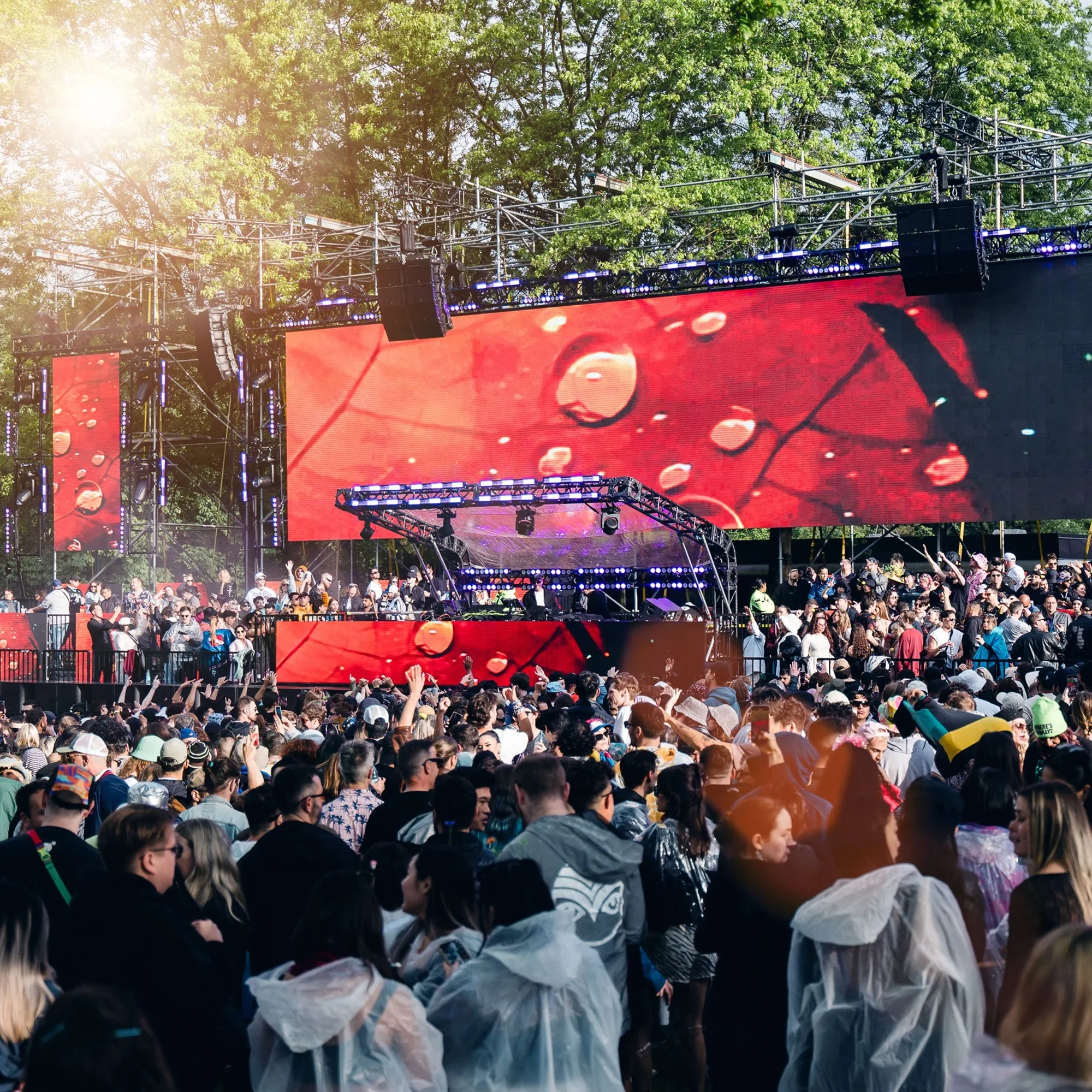 Foundation Open Radius 2026