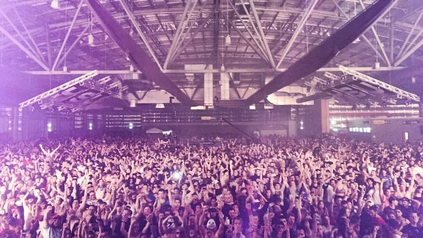 Midnight Mafia 2026 2