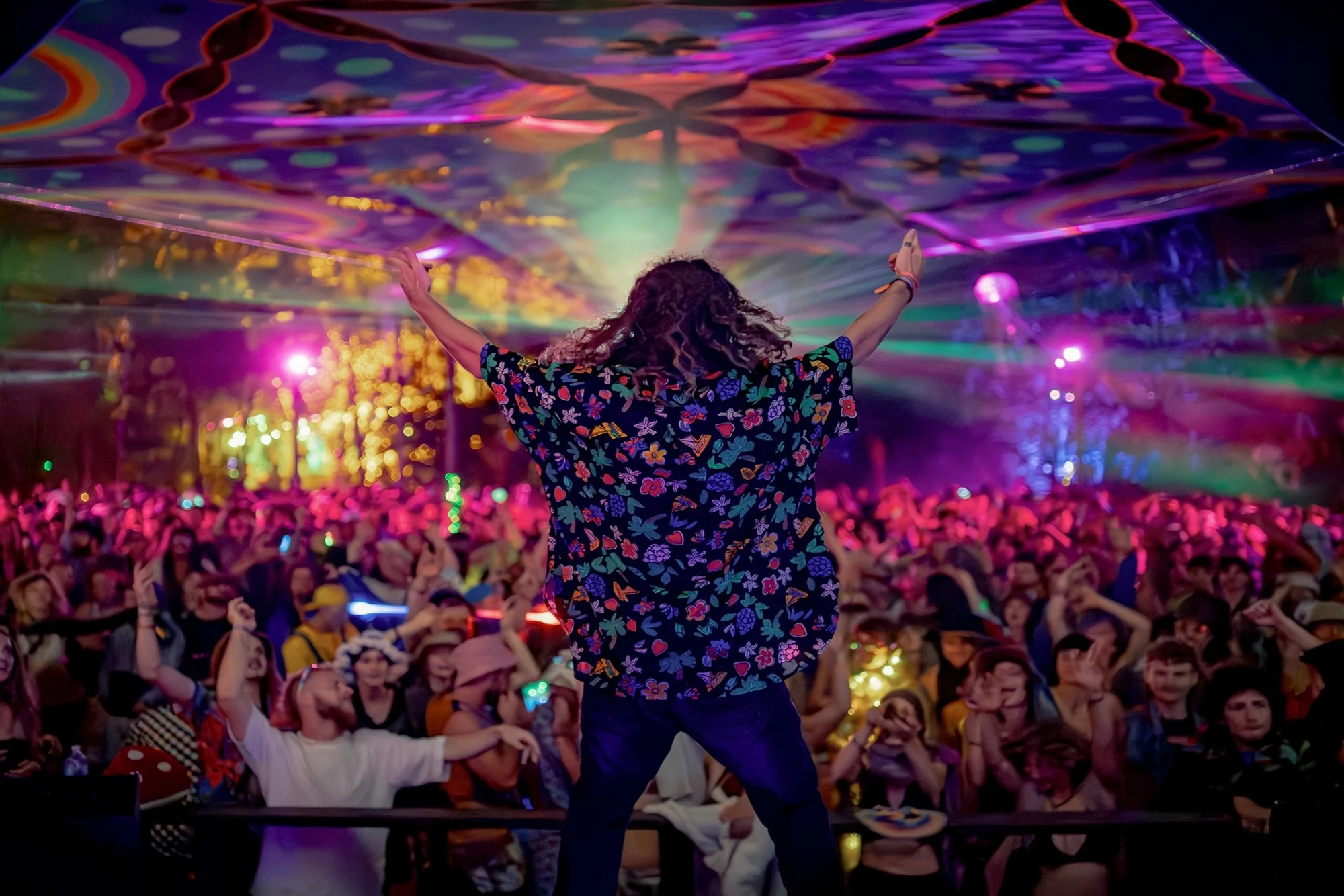 Mushroom Valley Festival 2026 3