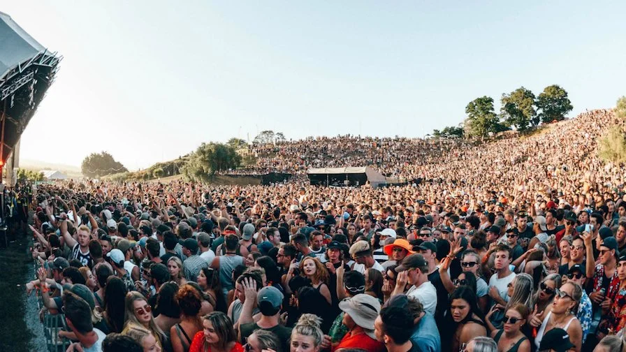 Music in The Vines 2026