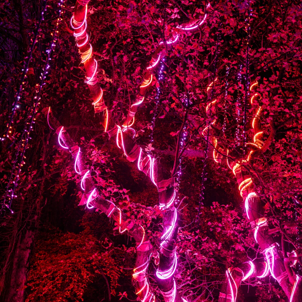 Northern Lights Newcastle