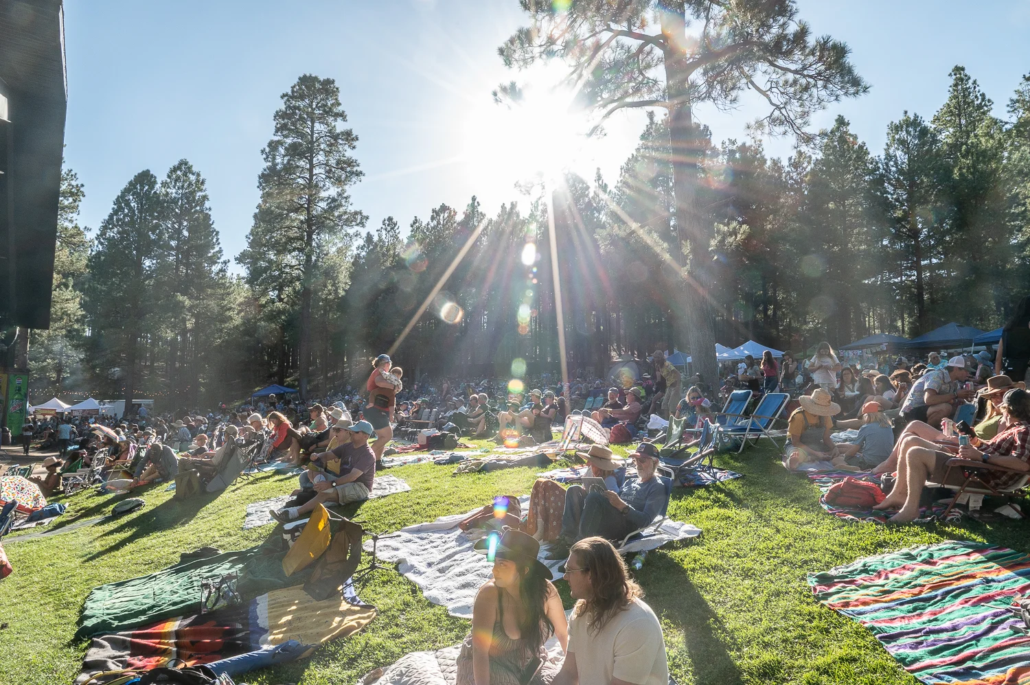 Pickin' in the Pines 2026 2