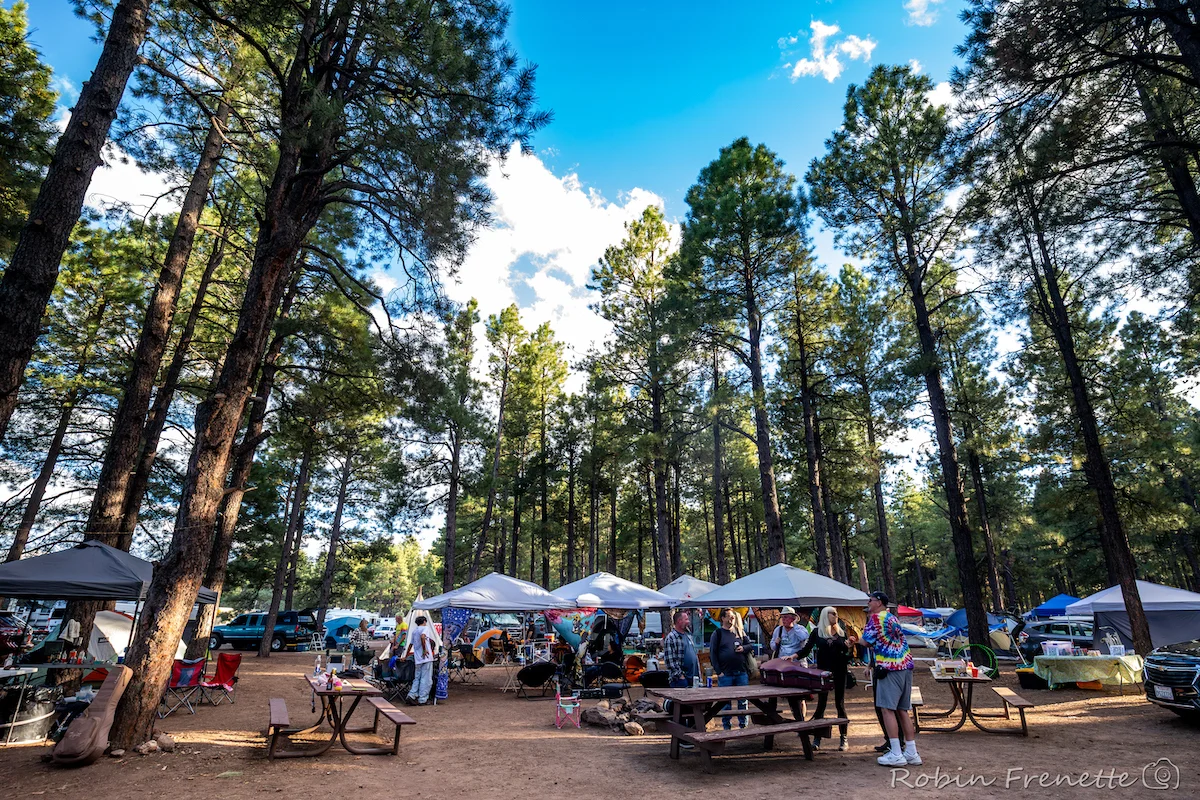 Pickin' in the Pines 2026 3