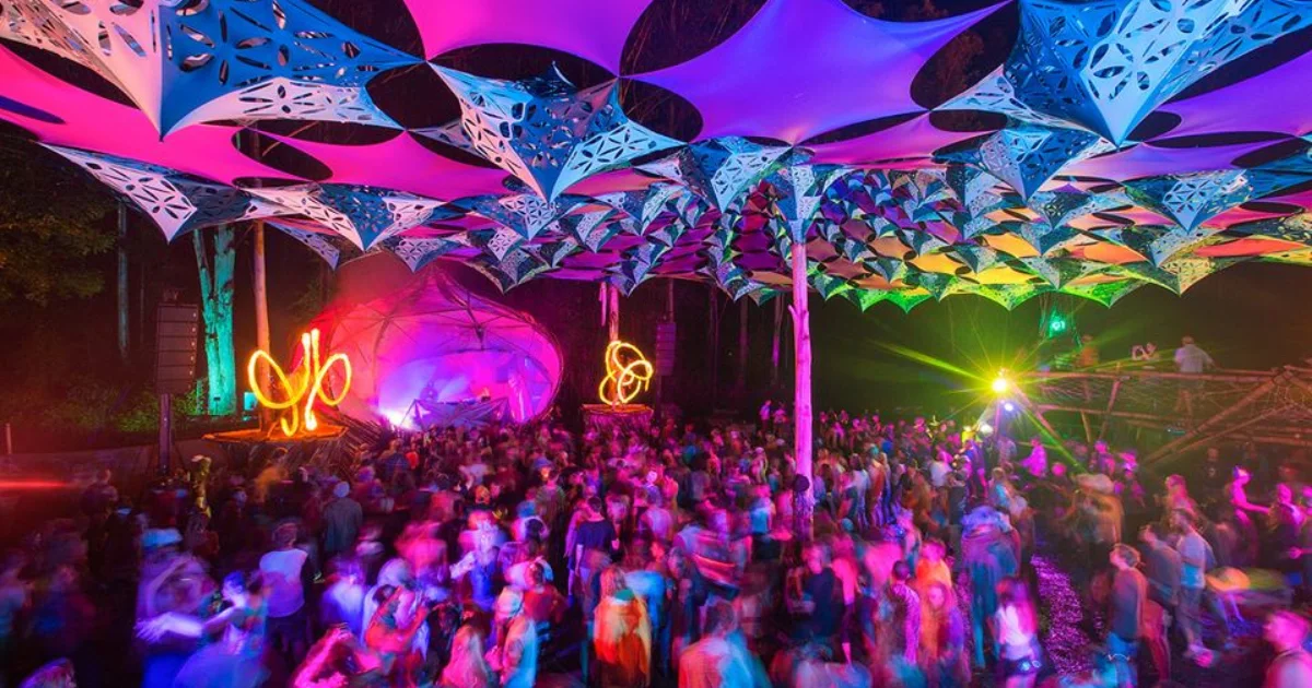 Rabbits Eat Lettuce 2026