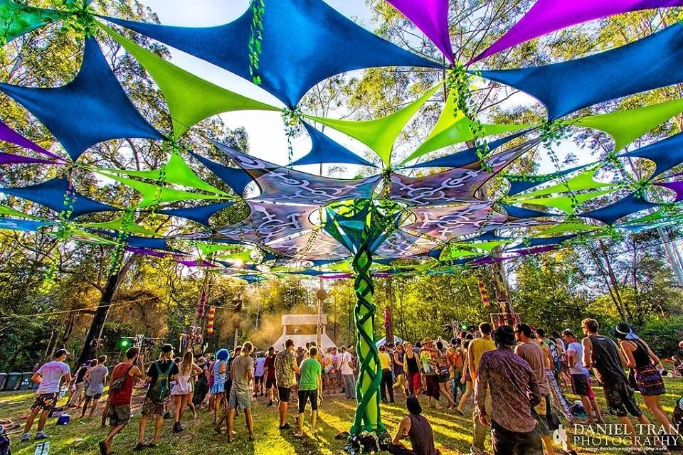 Rabbits Eat Lettuce 2026 2