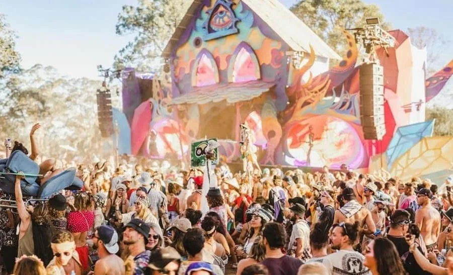 Rabbits Eat Lettuce 2026 3