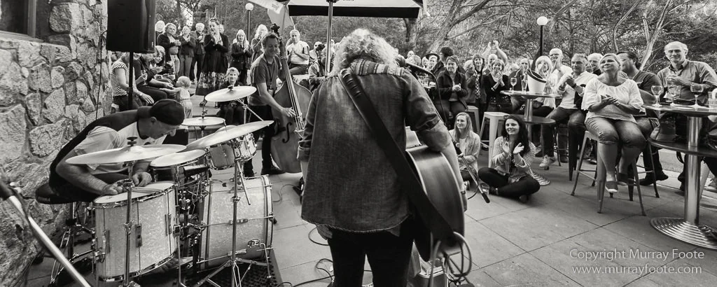 Thredbo Blues Festival 2026