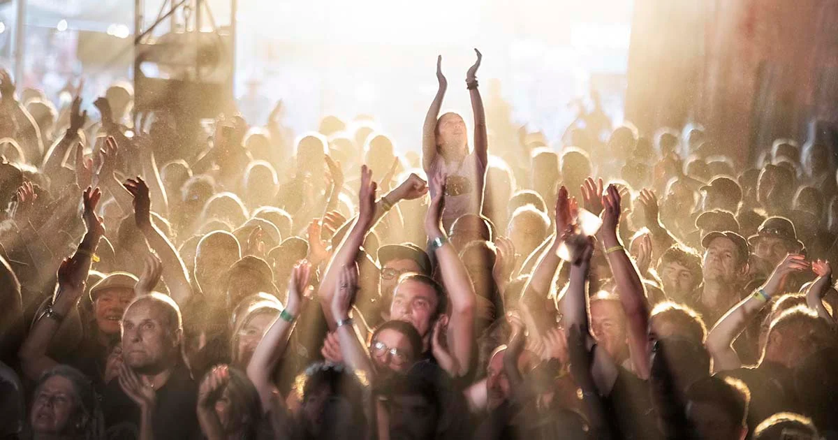 Wickham Festival 2026