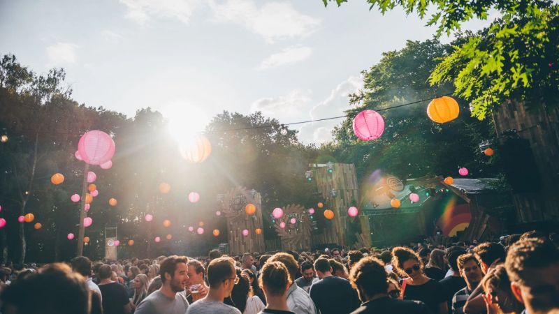 Het Nest Festival 3