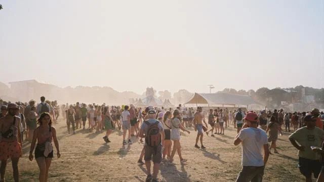 Les Vieilles Charrues 2