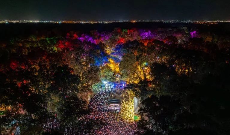Codru Festival 2