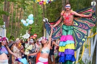 Organic Festival 3