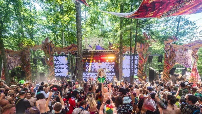 Big Dub Festival 3
