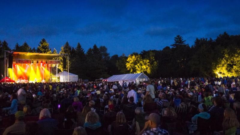 Hillside Festival 2