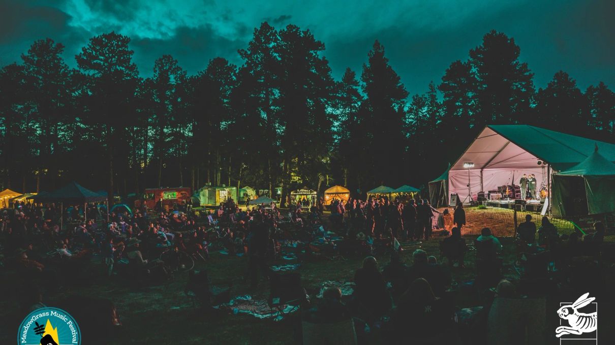 MeadowGrass Music Festival 2